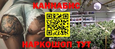 крисы Владимир