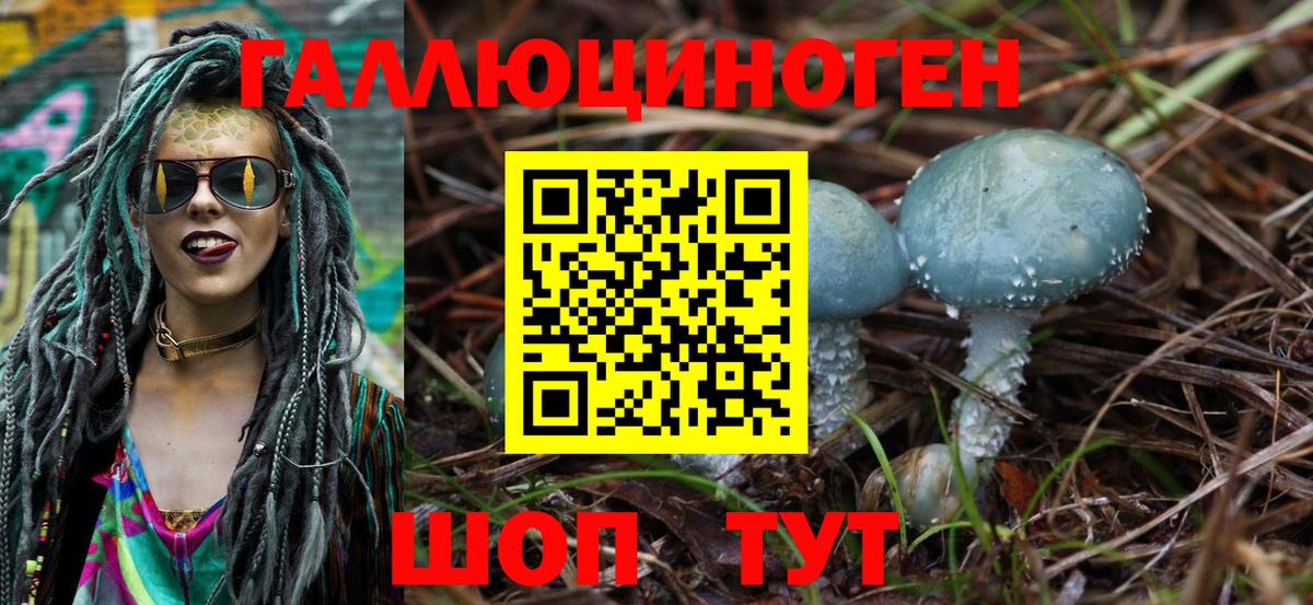 Псилоцибиновые грибы MAGIC MUSHROOMS  продажа наркотиков  Городец  Вход с VPN 
